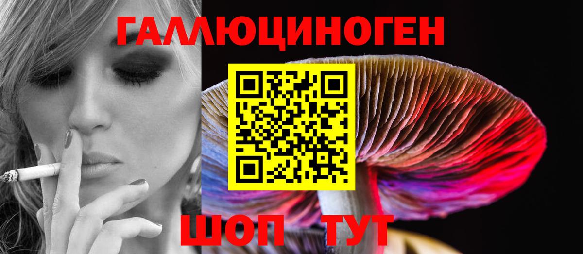 Галлюциногенные грибы Magic Shrooms  Псилоцибиновые грибы прущие грибы  Оренбург  Вход с VPN 